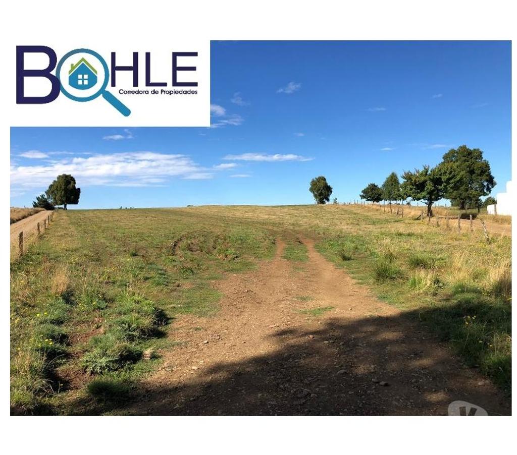 Bienes Raices Llanquihue Fresia - Fotos de VENDO - Campo 205 Ha en Fresia
