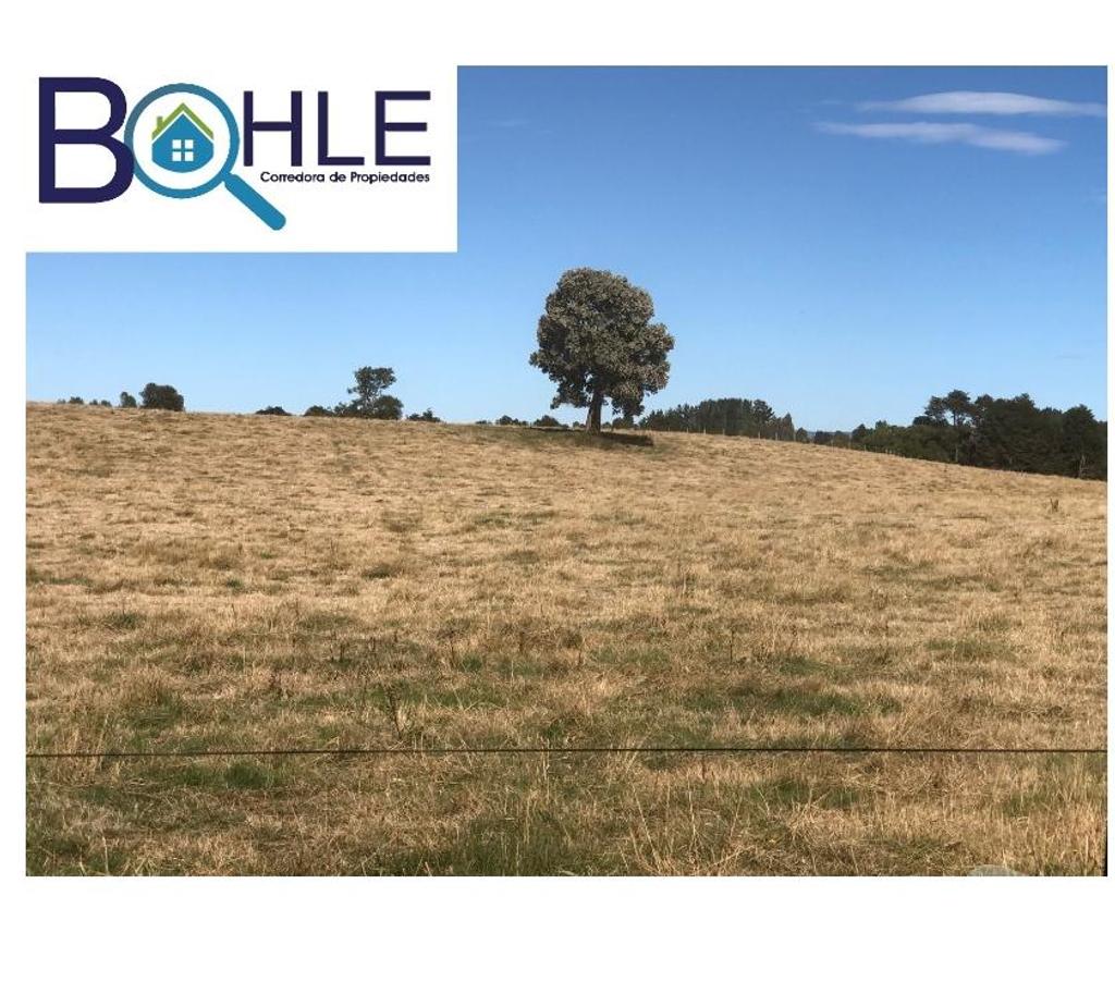 Bienes Raices Llanquihue Fresia - Fotos de VENDO - Campo 205 Ha en Fresia