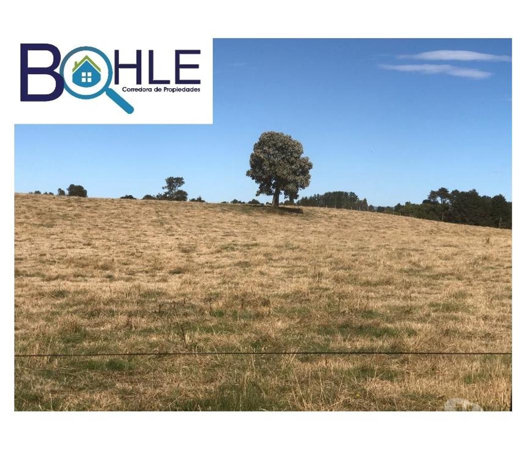 Bienes Raices Llanquihue Fresia - Fotos de VENDO - Campo 205 Ha en Fresia