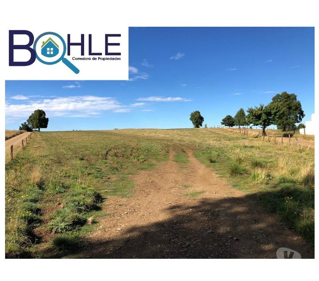 Bienes Raices Llanquihue Fresia - Fotos de VENDO - Campo 205 Ha en Fresia