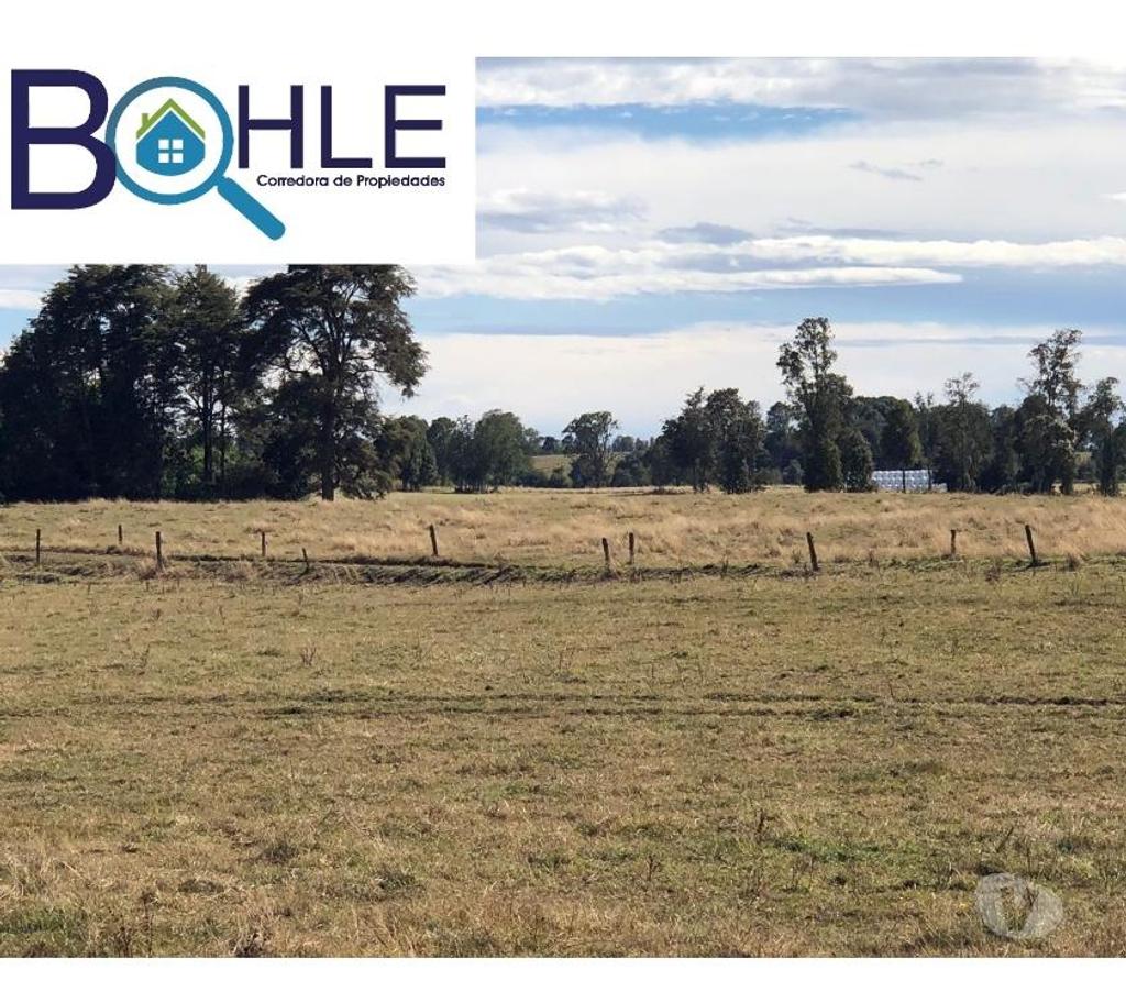 Bienes Raices Llanquihue Fresia - Fotos de VENDO - Campo 205 Ha en Fresia