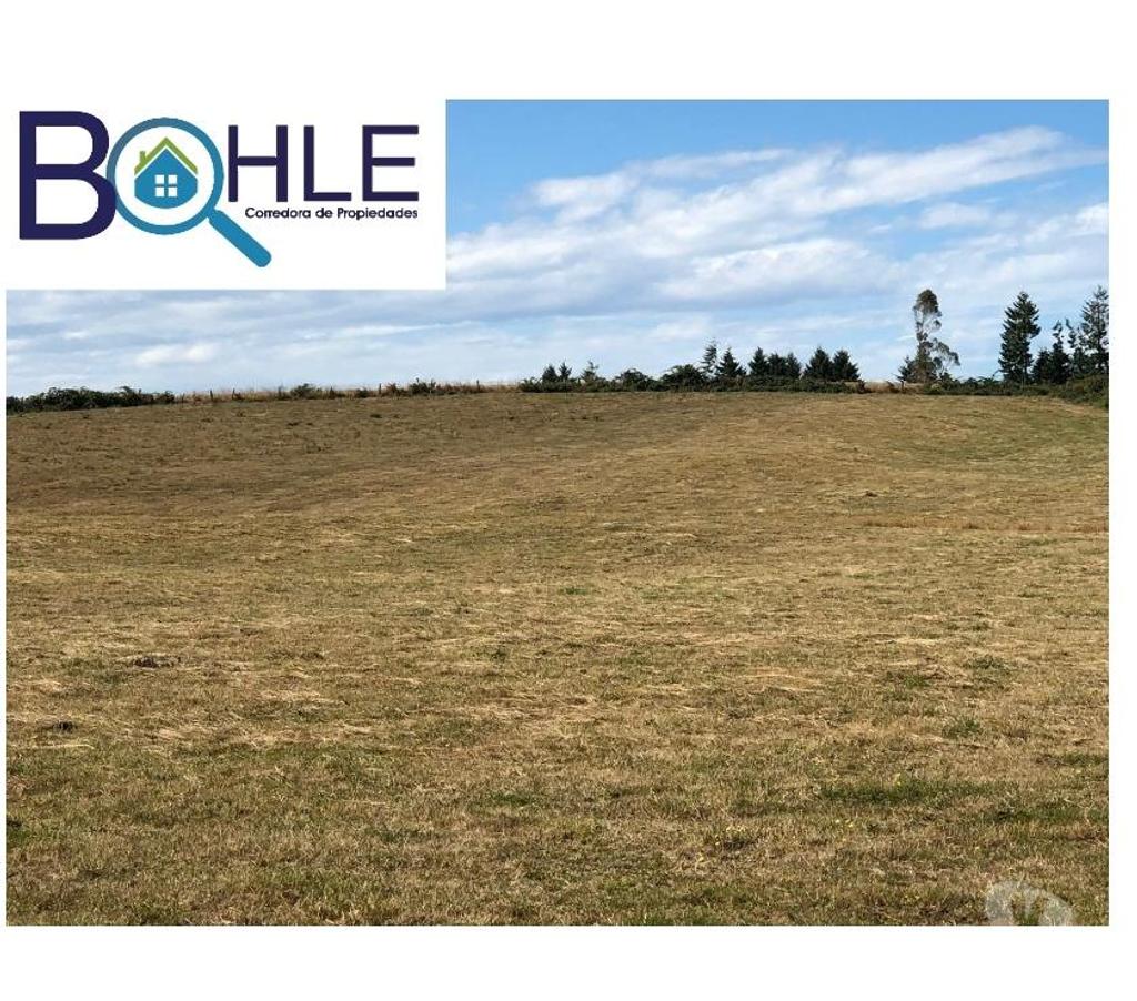 Bienes Raices Llanquihue Fresia - Fotos de VENDO - Campo 205 Ha en Fresia
