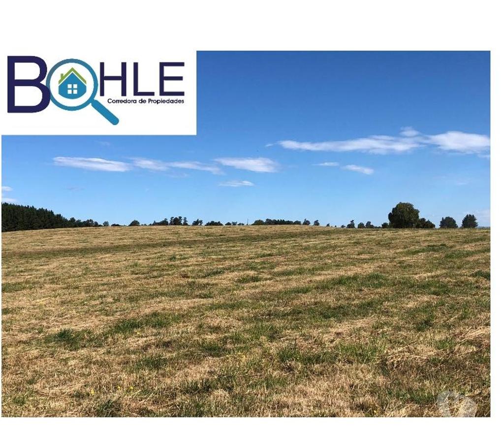 Bienes Raices Llanquihue Fresia - Fotos de VENDO - Campo 205 Ha en Fresia