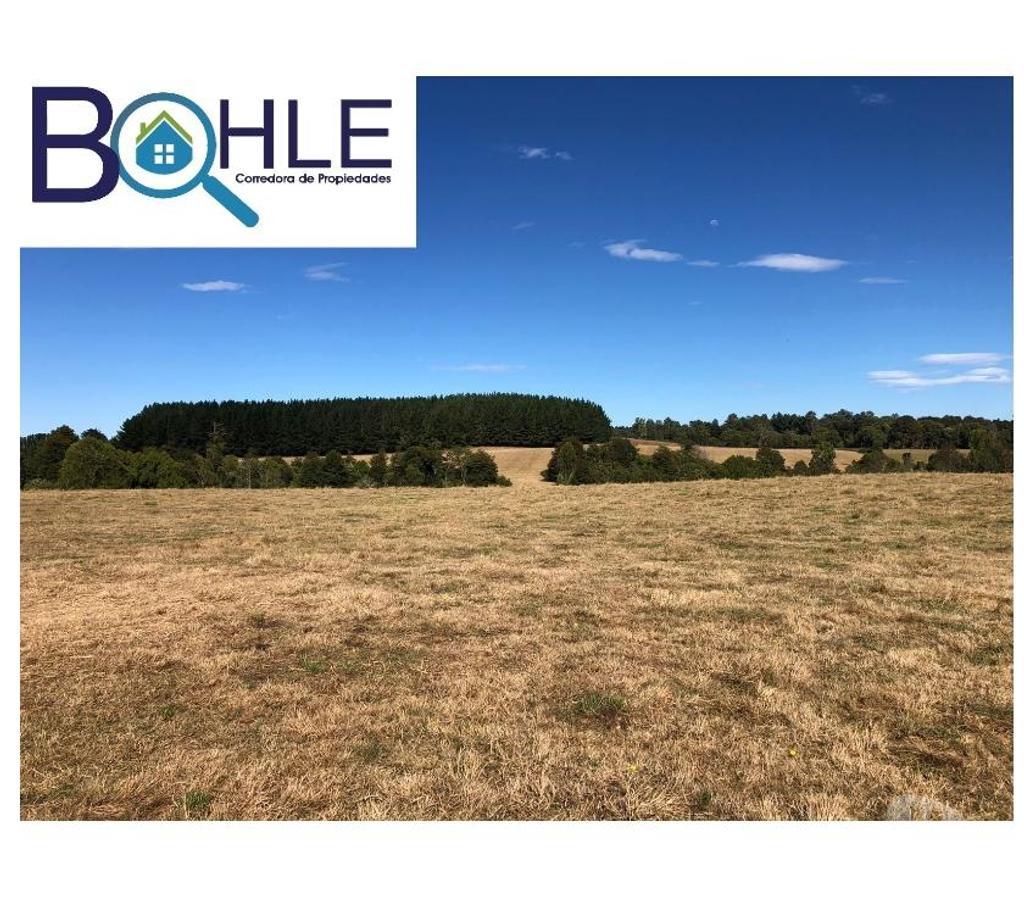 Bienes Raices Llanquihue Fresia - Fotos de VENDO - Campo 205 Ha en Fresia