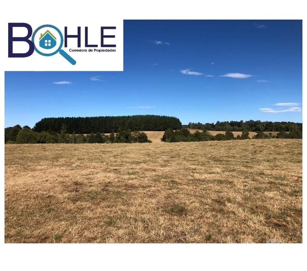 Bienes Raices Llanquihue Fresia - Fotos de VENDO - Campo 205 Ha en Fresia