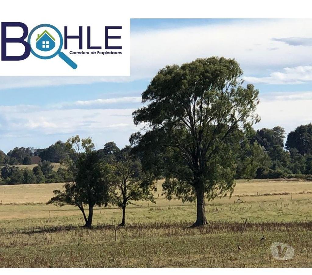 Bienes Raices Llanquihue Fresia - Fotos de VENDO - Campo 205 Ha en Fresia