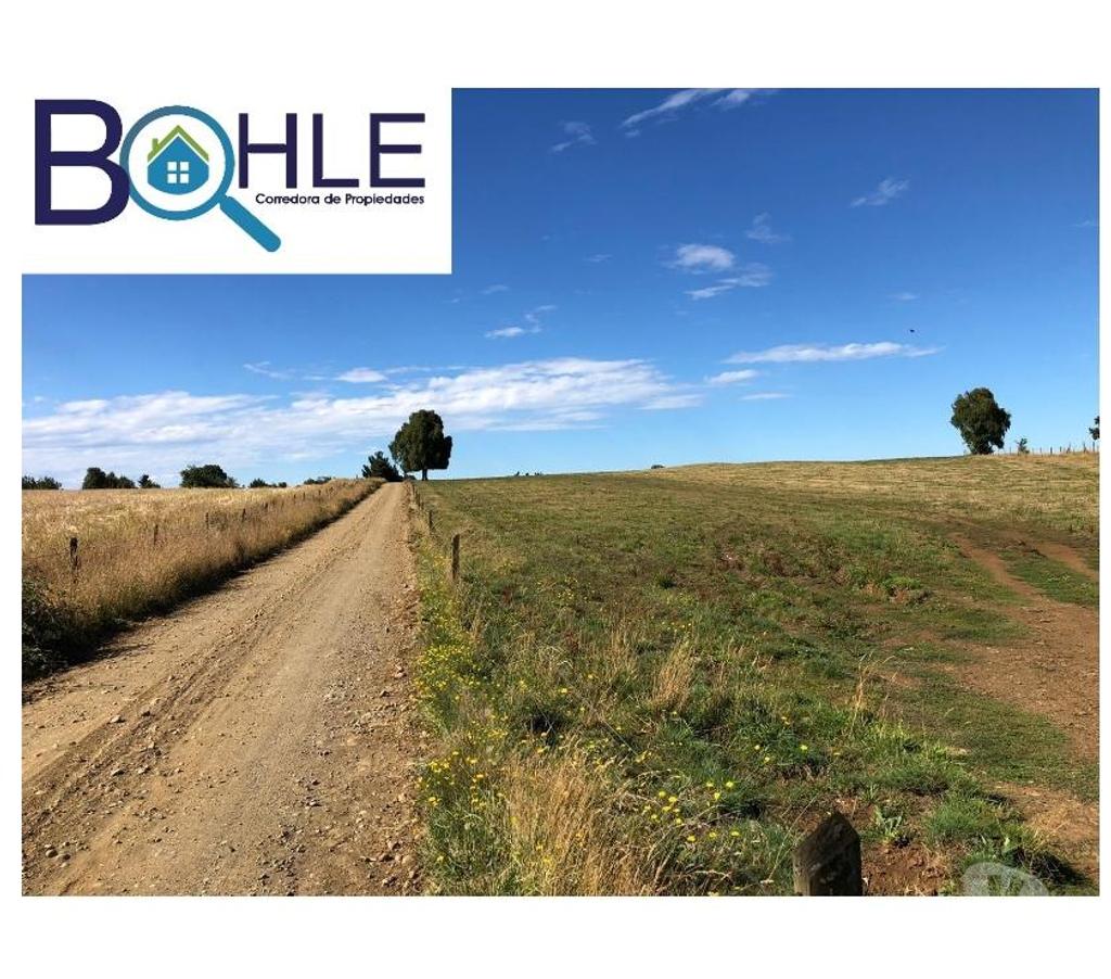 Bienes Raices Llanquihue Fresia - Fotos de VENDO - Campo 205 Ha en Fresia