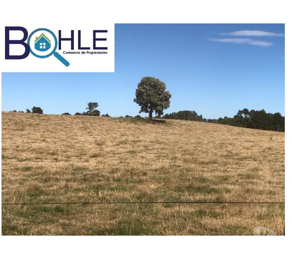 Bienes Raices Llanquihue Fresia - Fotos de VENDO - Campo 205 Ha en Fresia