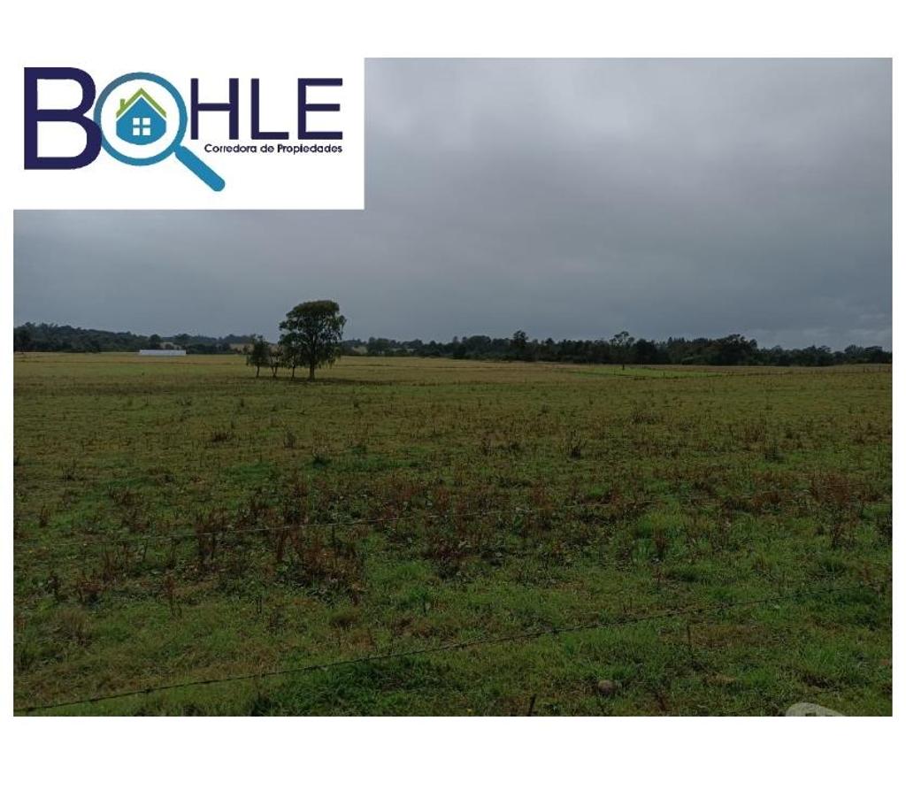 Bienes Raices Llanquihue Fresia - Fotos de VENDO - Campo 205 Ha en Fresia