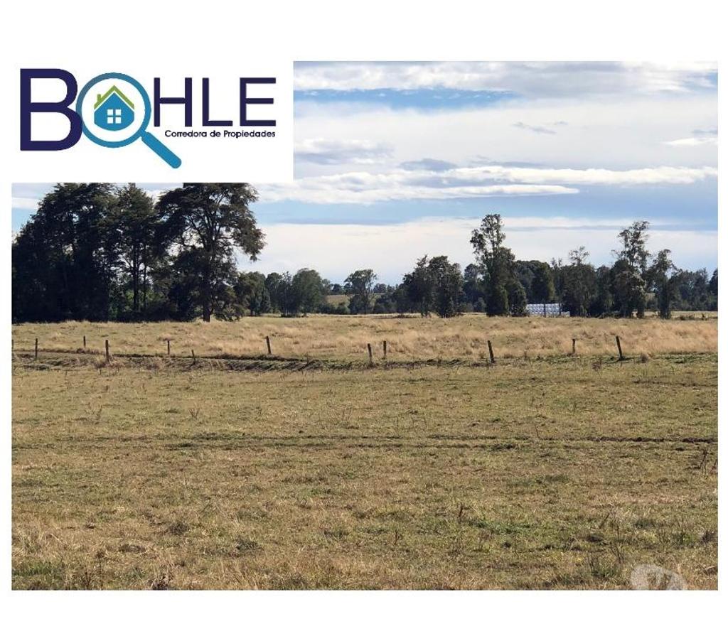 Bienes Raices Llanquihue Fresia - Fotos de VENDO - Campo 205 Ha en Fresia