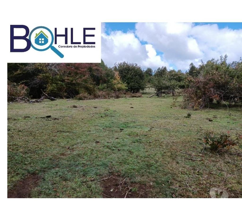 Parcelas en Venta Llanquihue Fresia - Fotos de VENDO - Campo de 25 Há en Fresia