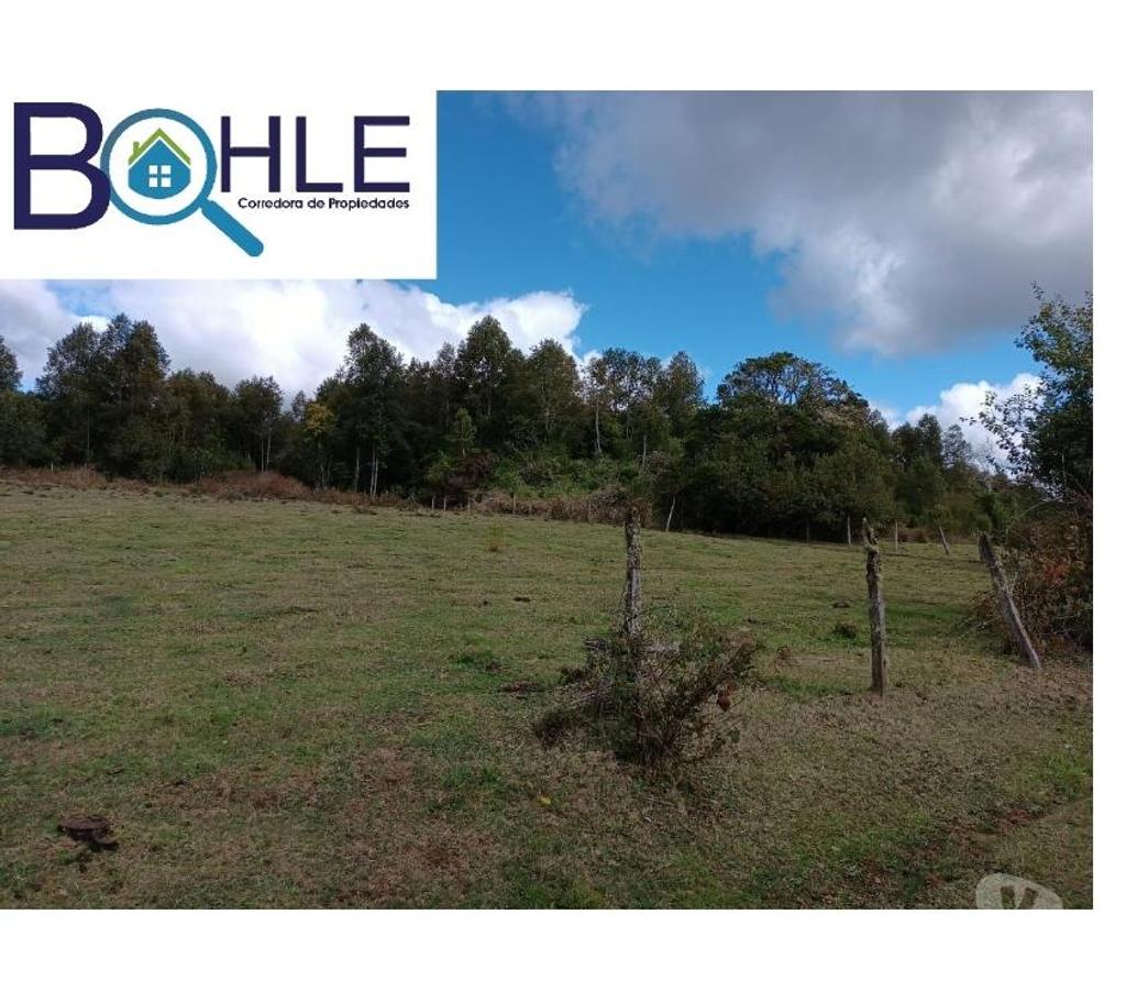 Parcelas en Venta Llanquihue Fresia - Fotos de VENDO - Campo de 25 Há en Fresia