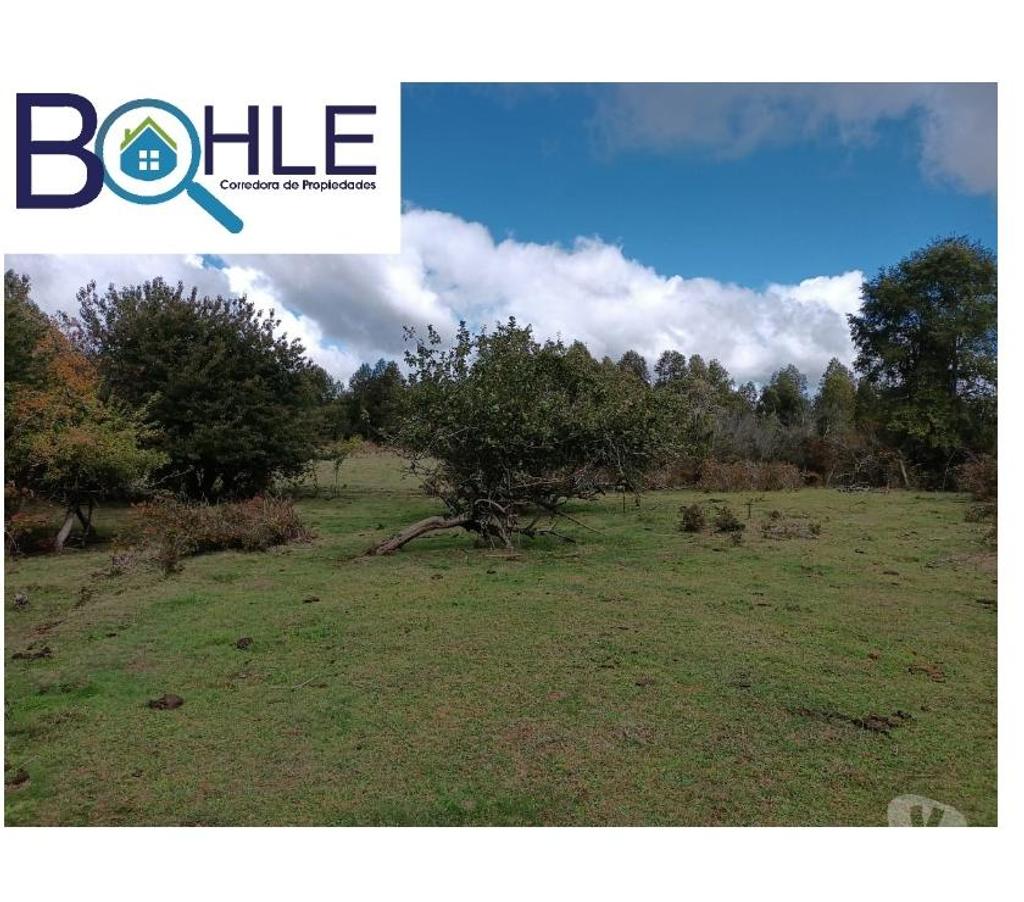 Parcelas en Venta Llanquihue Fresia - Fotos de VENDO - Campo de 25 Há en Fresia
