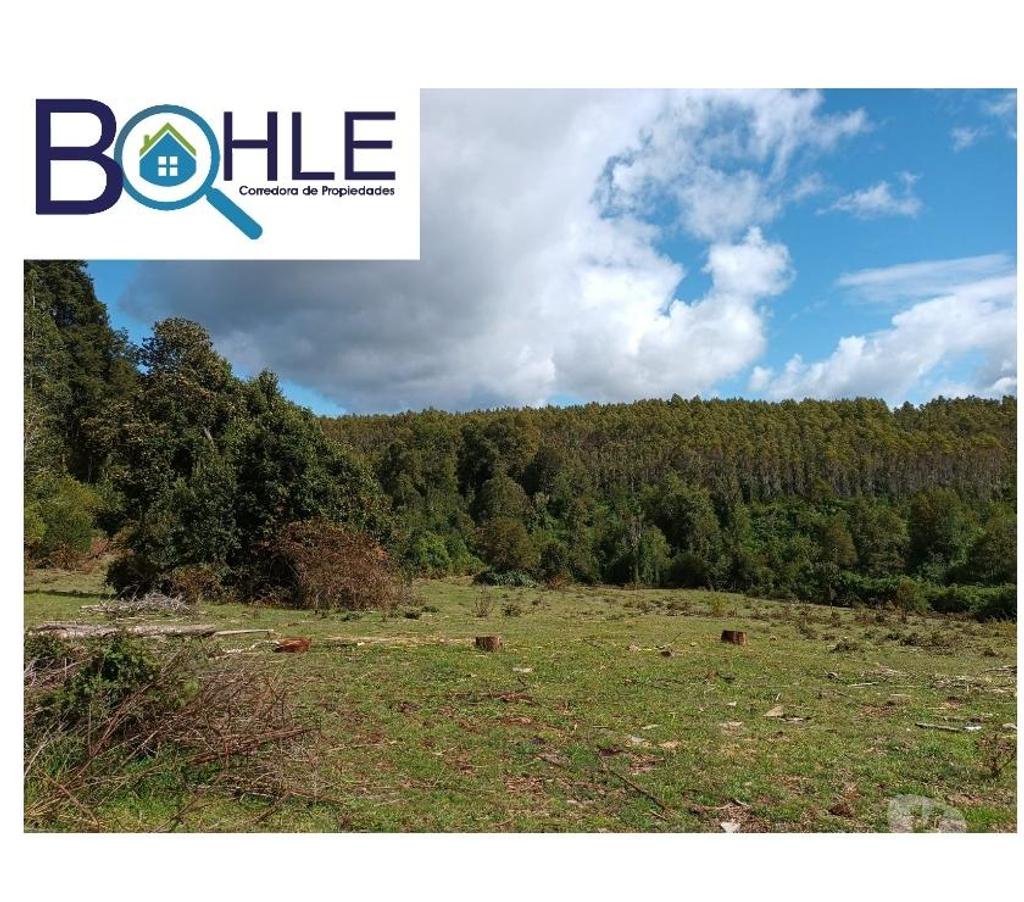 Parcelas en Venta Llanquihue Fresia - Fotos de VENDO - Campo de 25 Há en Fresia