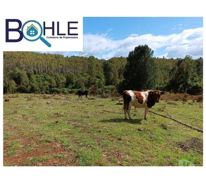 Terrenos Fresia Llanquihue - Fotos de VENDO - Campo de 25 Há en Fresia