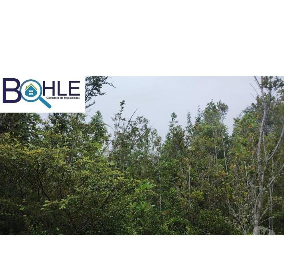 Parcelas en Venta Llanquihue Puerto Montt - Fotos de VENDO - Campo de 45.5 há en Rio Puelo, Sector Yates