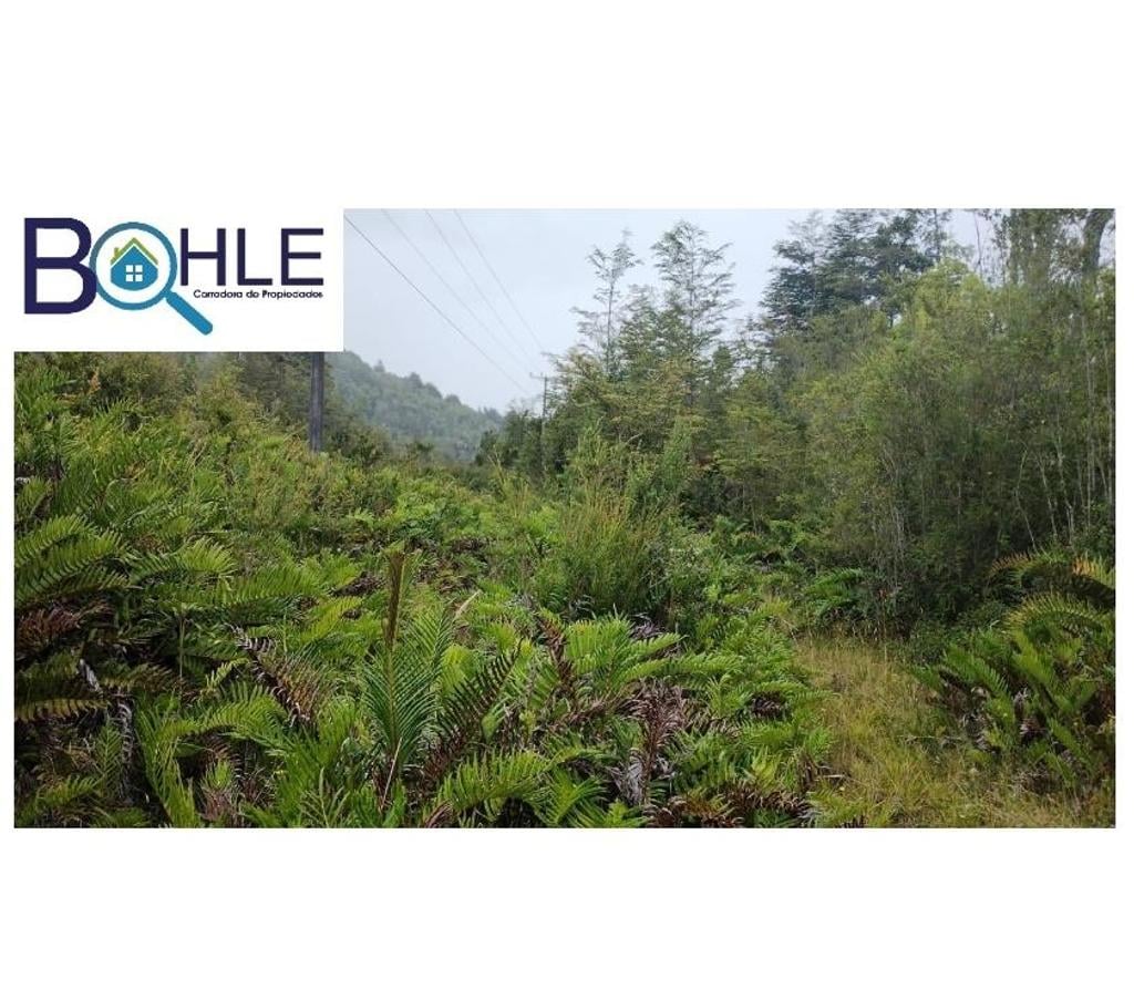 Parcelas en Venta Llanquihue Puerto Montt - Fotos de VENDO - Campo de 45.5 há en Rio Puelo, Sector Yates