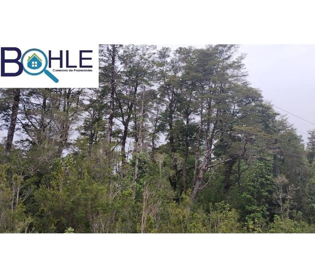 Parcelas en Venta Llanquihue Puerto Montt - Fotos de VENDO - Campo de 45.5 há en Rio Puelo, Sector Yates