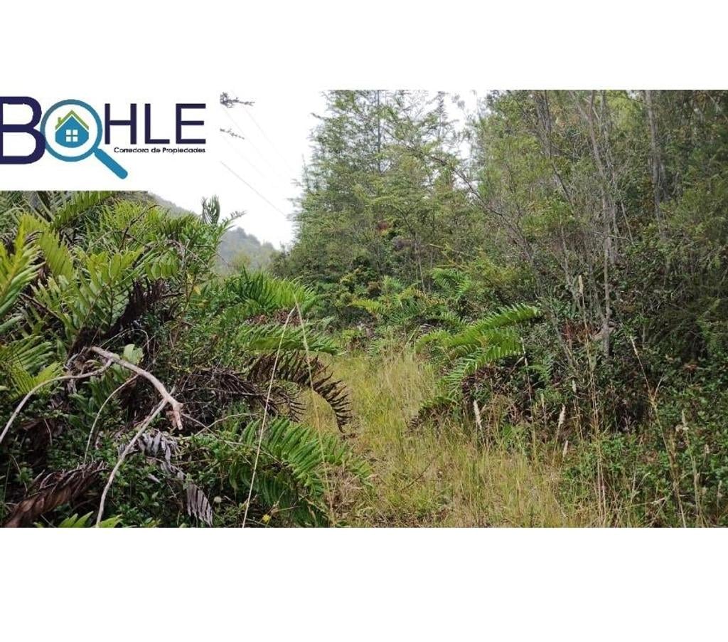 Parcelas en Venta Llanquihue Puerto Montt - Fotos de VENDO - Campo de 45.5 há en Rio Puelo, Sector Yates