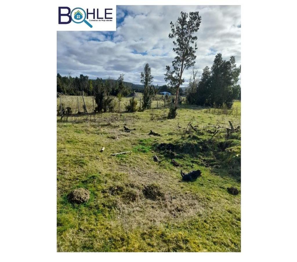 Parcelas en Venta Chiloé Quellón - Fotos de VENDO - Campo de 59,5 há en Quellón