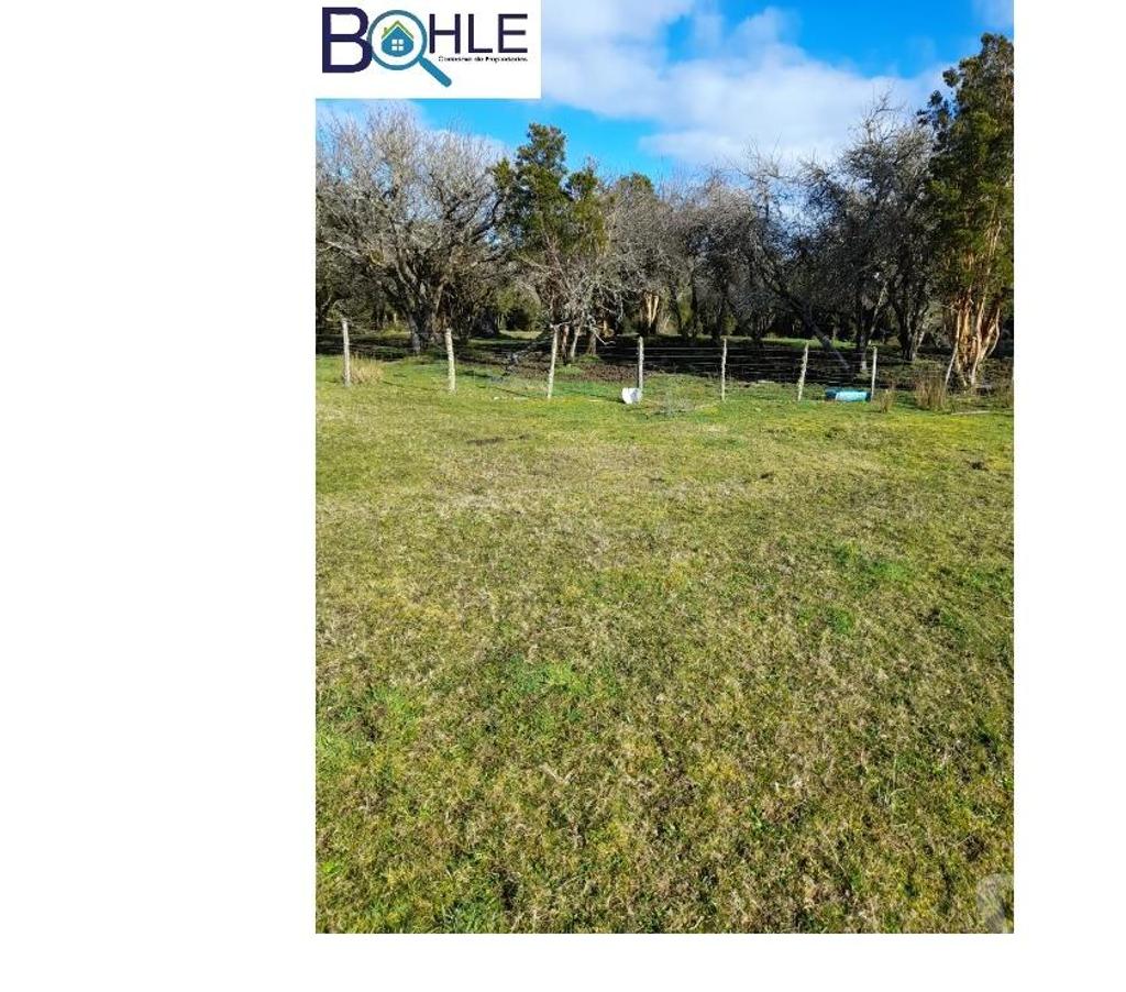 Parcelas en Venta Chiloé Quellón - Fotos de VENDO - Campo de 59,5 há en Quellón