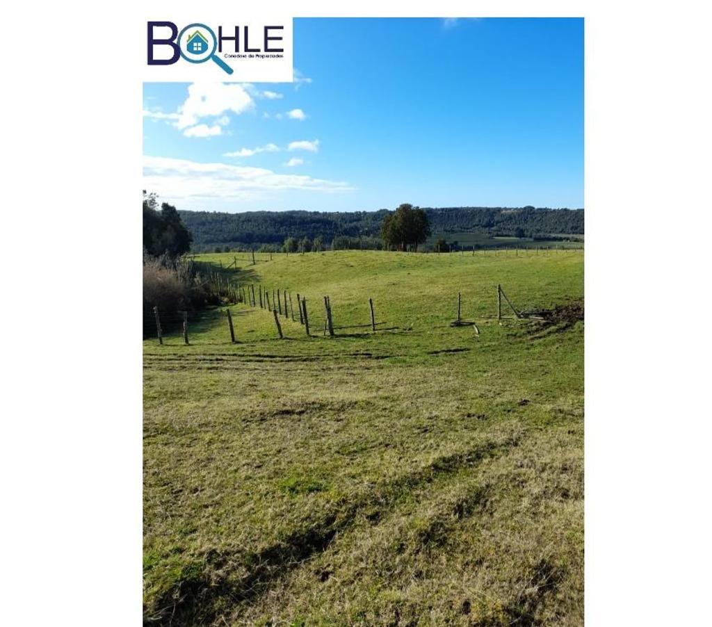 Parcelas en Venta Chiloé Quellón - Fotos de VENDO - Campo de 59,5 há en Quellón