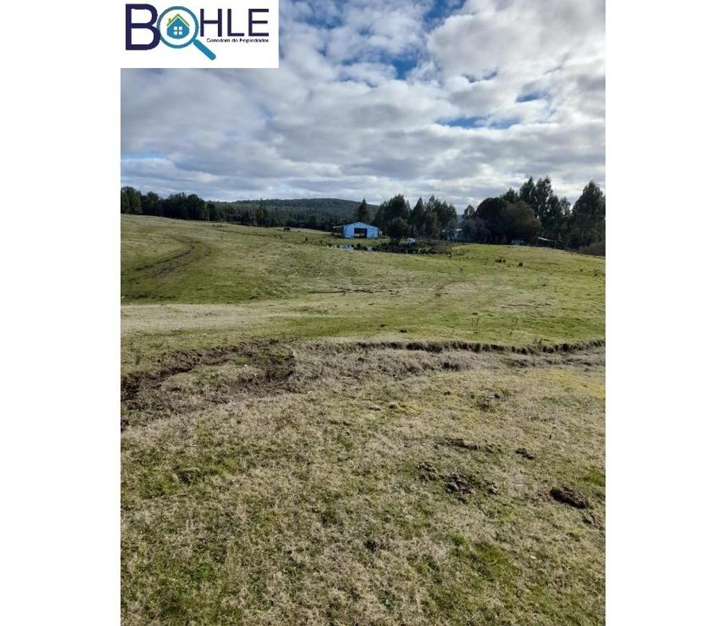 Parcelas en Venta Chiloé Quellón - Fotos de VENDO - Campo de 59,5 há en Quellón