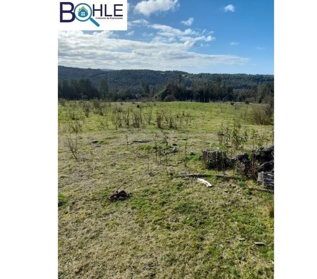 Parcelas en Venta Chiloé Quellón - Fotos de VENDO - Campo de 59,5 há en Quellón