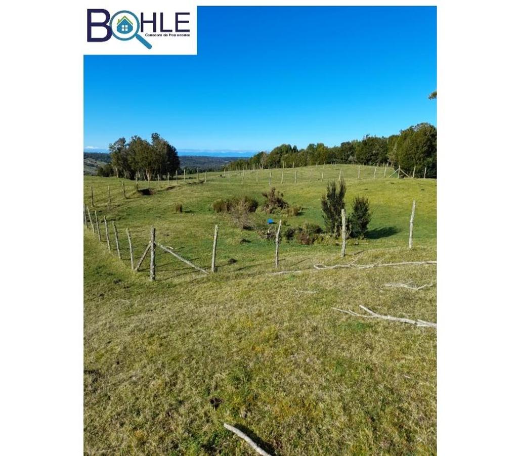 Parcelas en Venta Chiloé Quellón - Fotos de VENDO - Campo de 59,5 há en Quellón