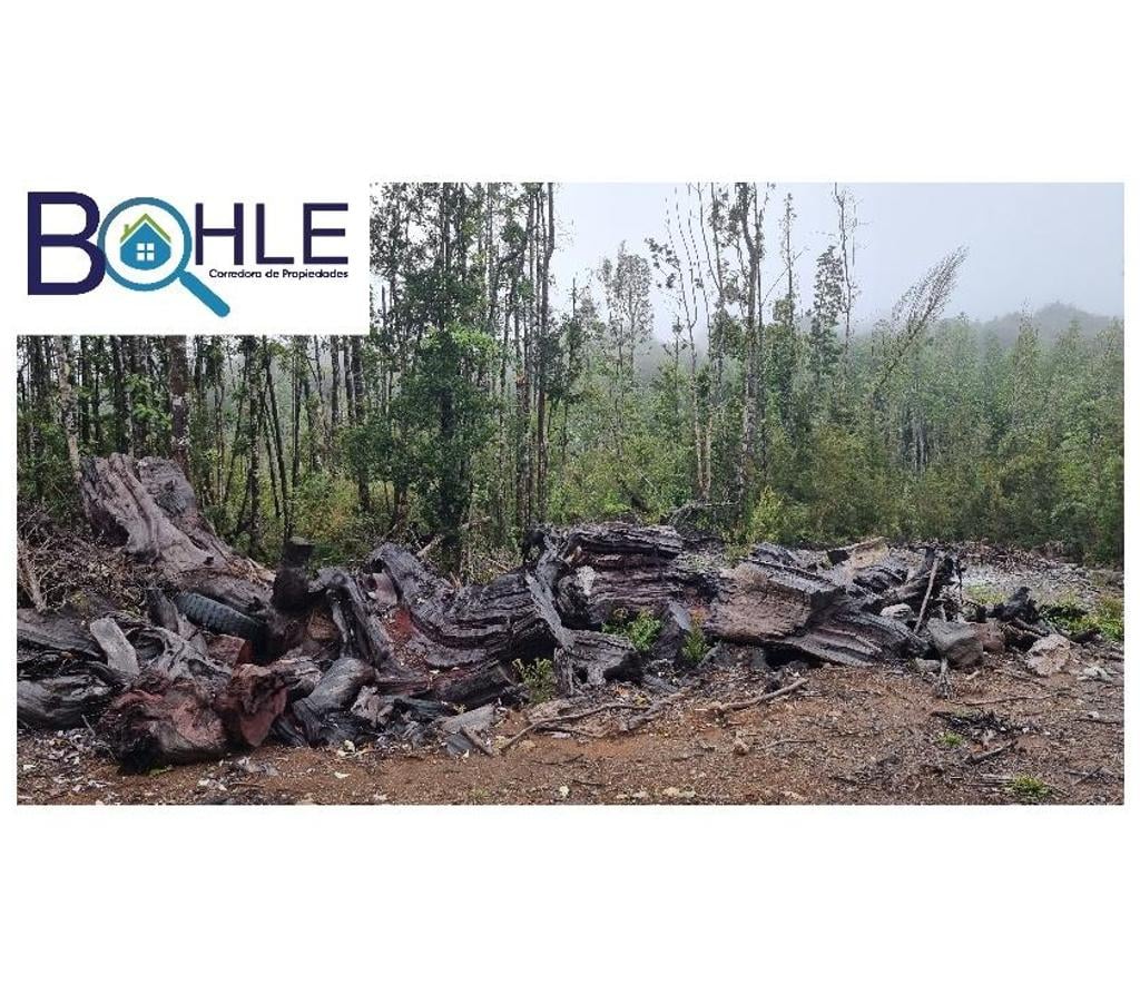 Parcelas en Venta Llanquihue Puerto Varas - Fotos de VENDO – Parcela 5000m2 en Colonia Rio Sur Pto. Varas