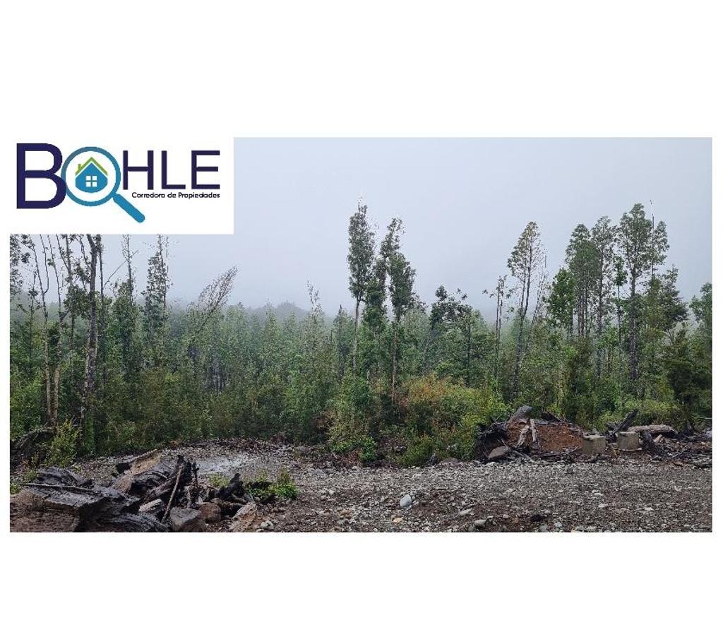 Parcelas en Venta Llanquihue Puerto Varas - Fotos de VENDO – Parcela 5000m2 en Colonia Rio Sur Pto. Varas