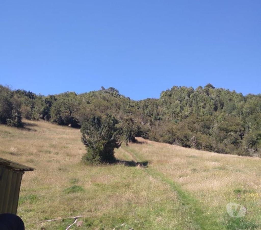 Venta de Haciendas Chiloé Queilén - Fotos de Se vende campo en Queilen, Chiloé