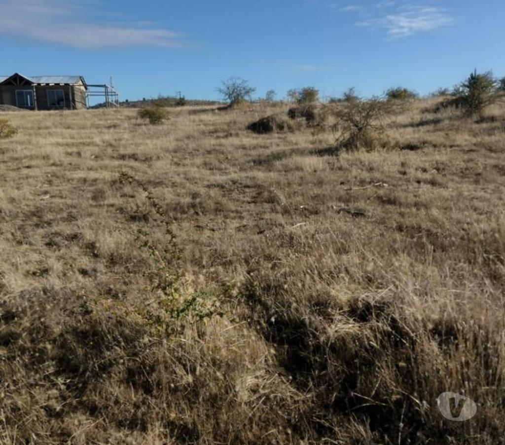 Parcelas en Venta Cauquenes Cauquenes - Fotos de Parcela 5.000 m2 Cauquenes VII Región