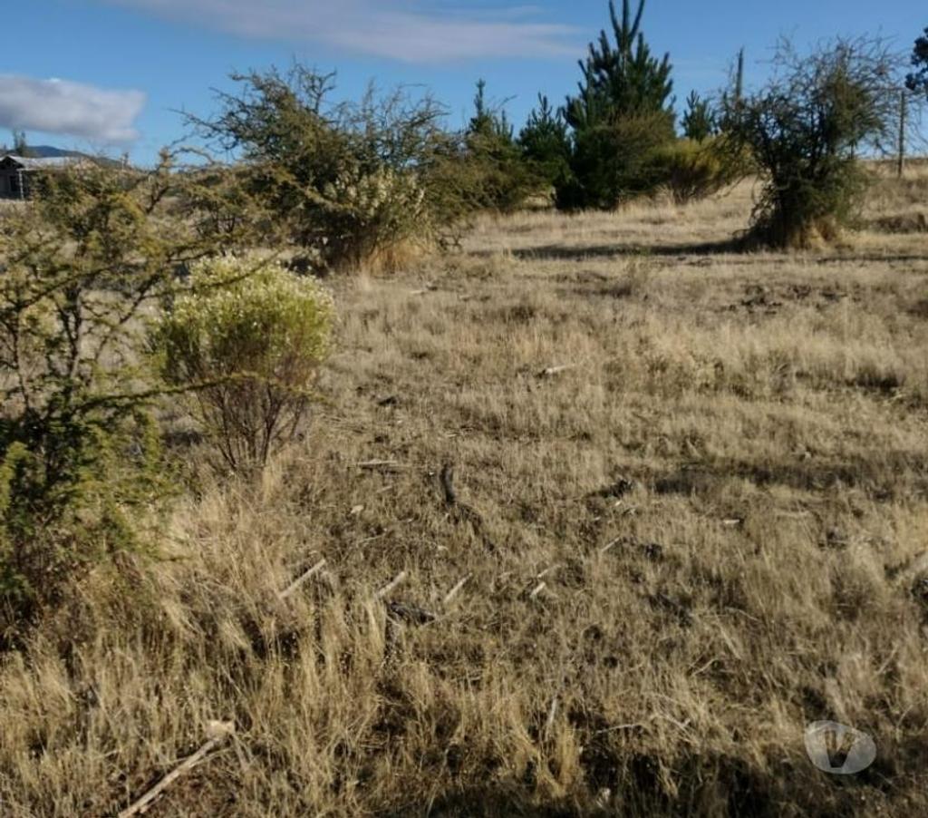 Parcelas en Venta Cauquenes Cauquenes - Fotos de Parcela 5.000 m2 Cauquenes VII Región