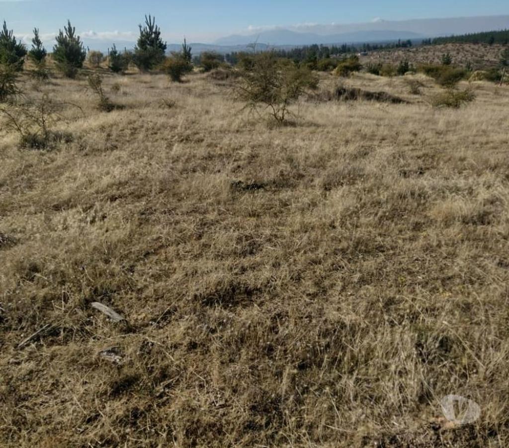Parcelas en Venta Cauquenes Cauquenes - Fotos de Parcela 5.000 m2 Cauquenes VII Región