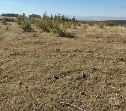 Terrenos en Venta Cauquenes Cauquenes - Fotos de Parcela 5.000 m2 Cauquenes VII Región