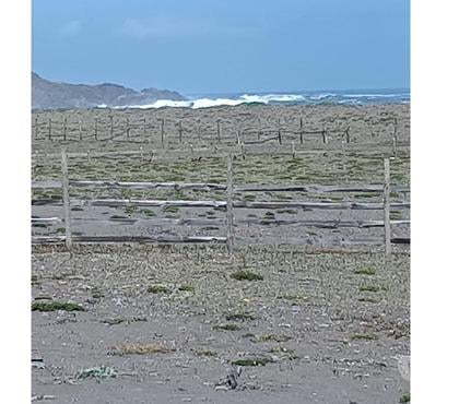 Terrenos Pelluhue Cauquenes - Fotos de Pullay frente al Mar.