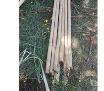 Tutores de Eucaliptus, Tutores Para Arboles