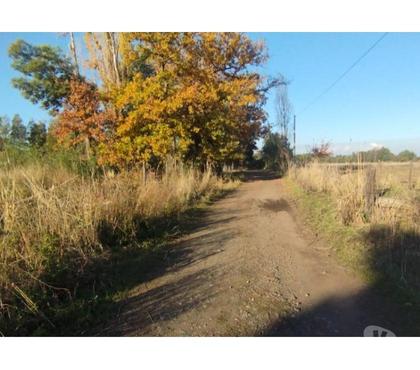 Parcelas en Venta Chillán Ñuble - Fotos de VENDO PARCELA SECTOR HUAMPANGUE