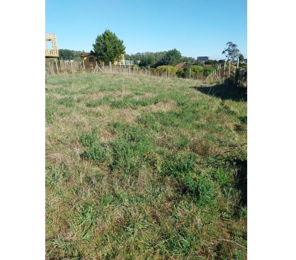Parcelas en Venta Concepción Tomé - Fotos de VENDO SITIOS EN ALTOS DE COLIUMO TOMÉ
