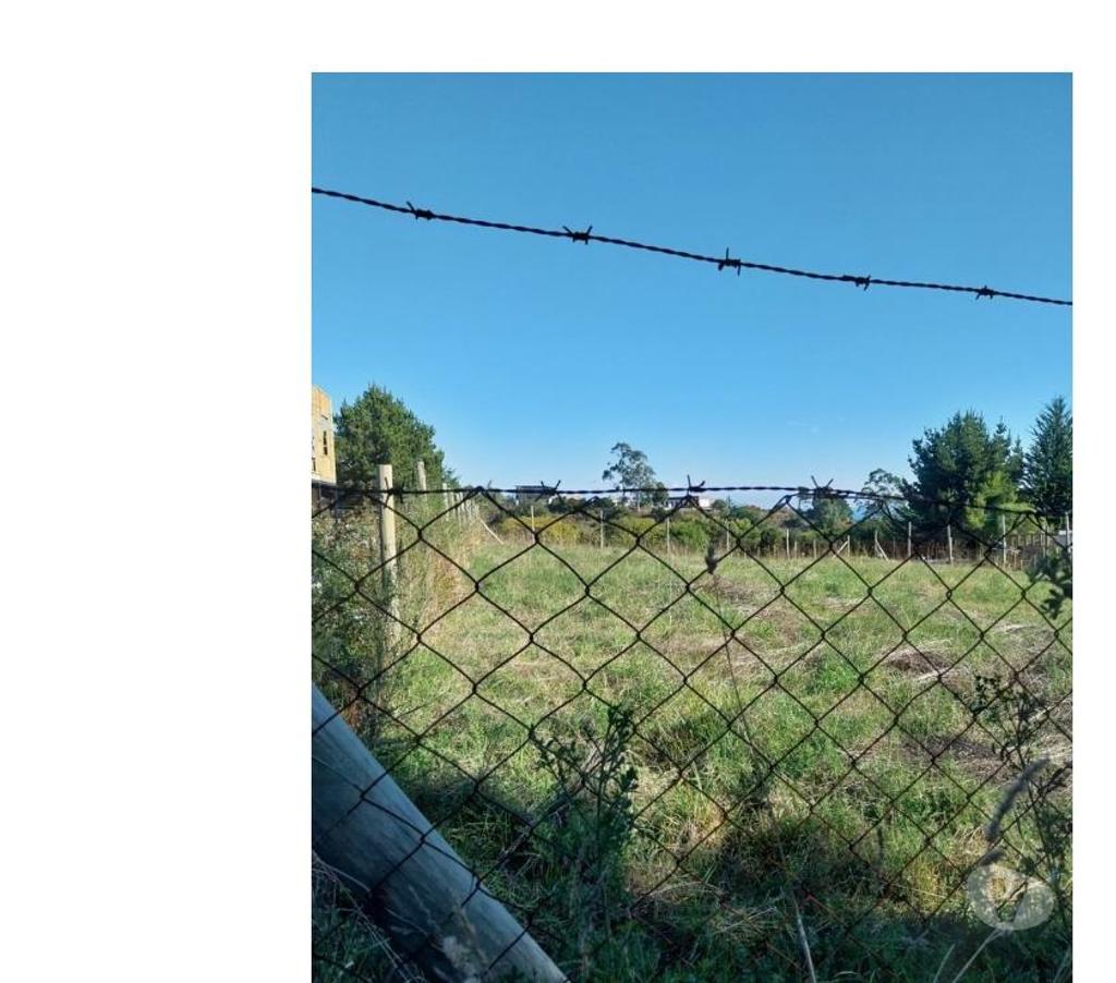 Parcelas en Venta Concepción Tomé - Fotos de VENDO SITIOS EN ALTOS DE COLIUMO TOMÉ