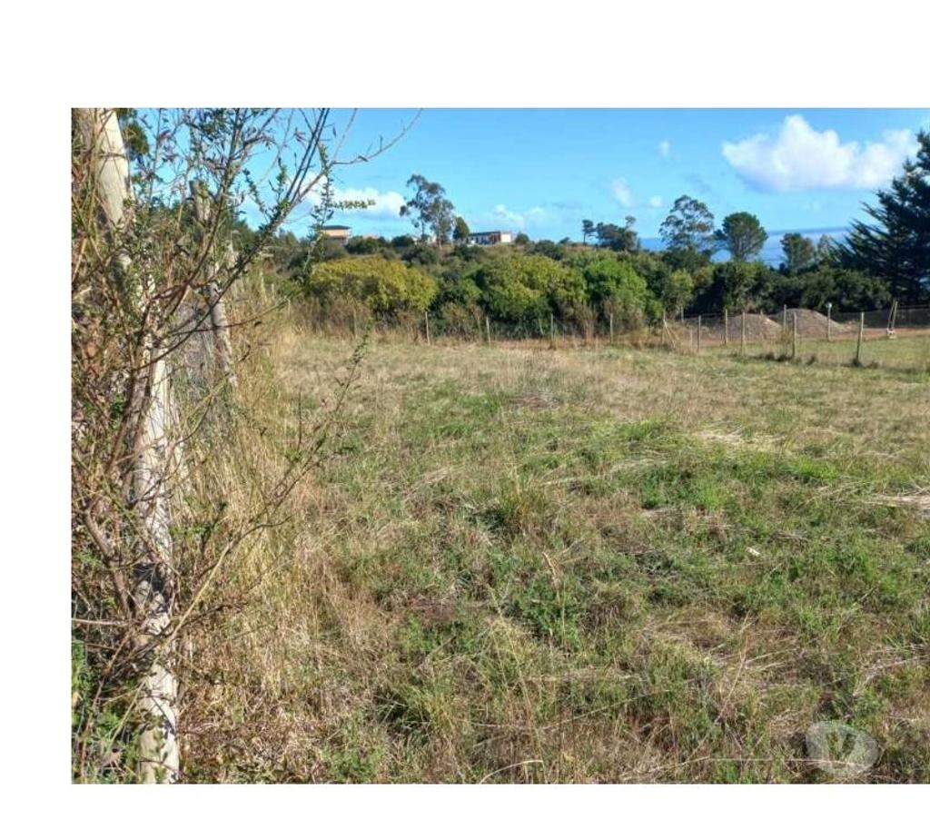 Parcelas en Venta Concepción Tomé - Fotos de VENDO SITIOS EN ALTOS DE COLIUMO TOMÉ