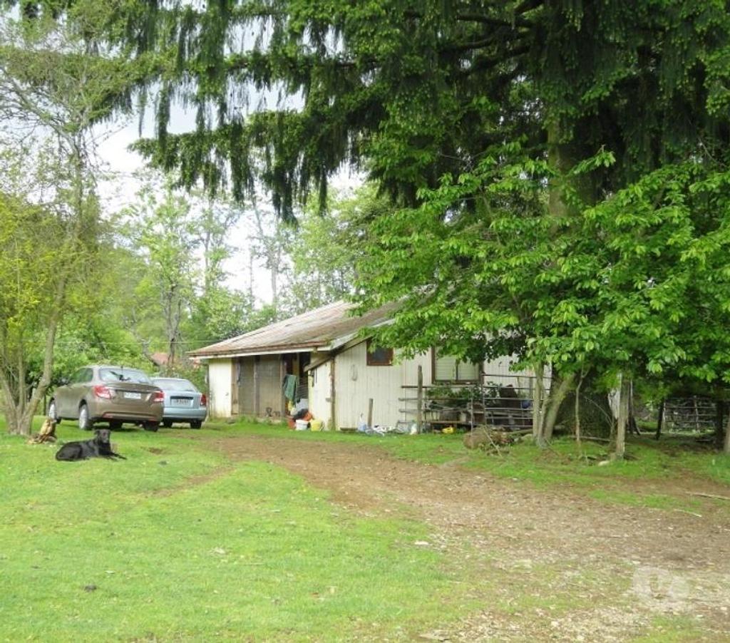 Venta de Haciendas Valdivia Los Lagos - Fotos de Precioso Campo Ganadero de 490 hás en Los Lagos-Valdivia