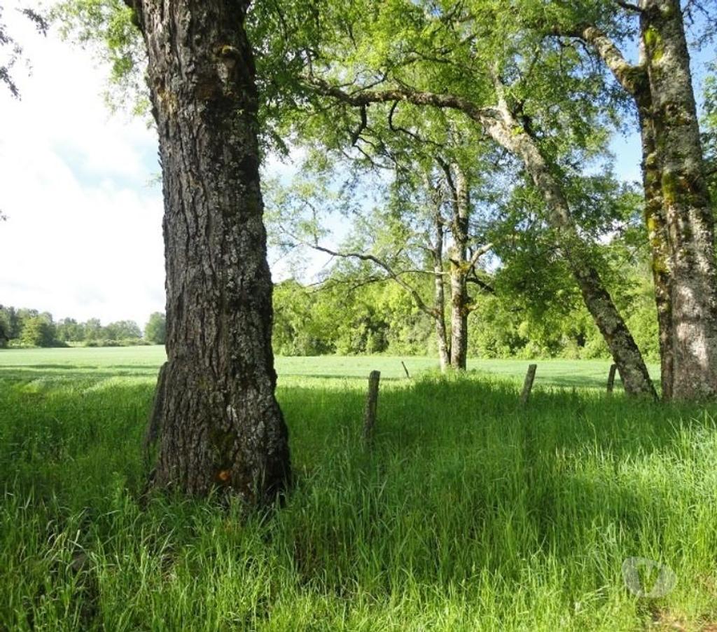 Venta de Haciendas Valdivia Los Lagos - Fotos de Precioso Campo Ganadero de 490 hás en Los Lagos-Valdivia