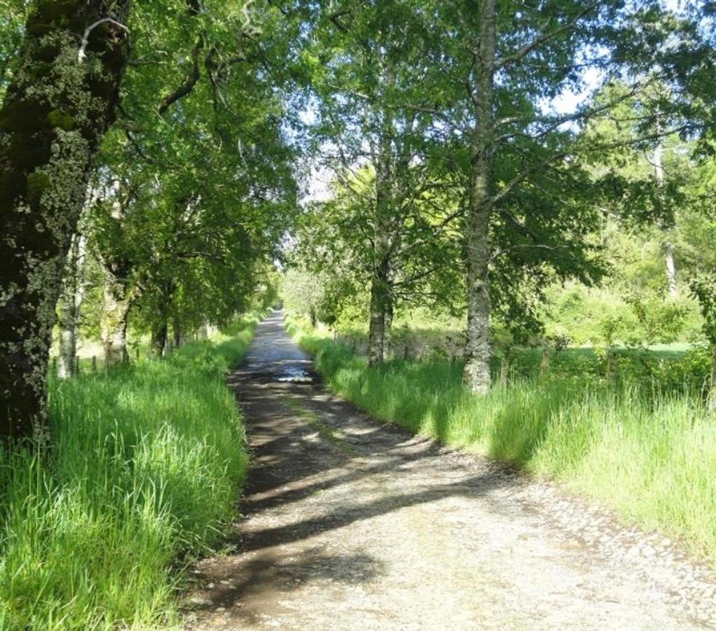 Venta de Haciendas Valdivia Los Lagos - Fotos de Precioso Campo Ganadero de 490 hás en Los Lagos-Valdivia