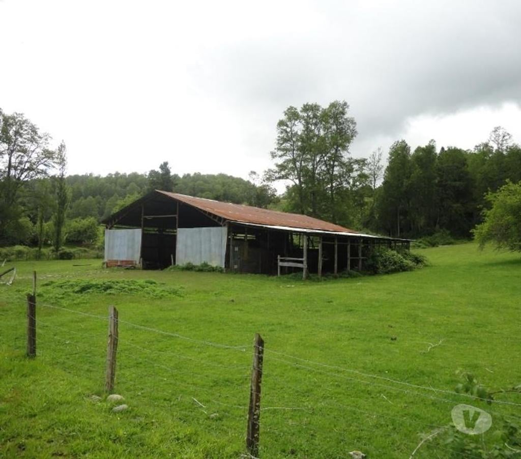Venta de Haciendas Valdivia Los Lagos - Fotos de Precioso Campo Ganadero de 490 hás en Los Lagos-Valdivia