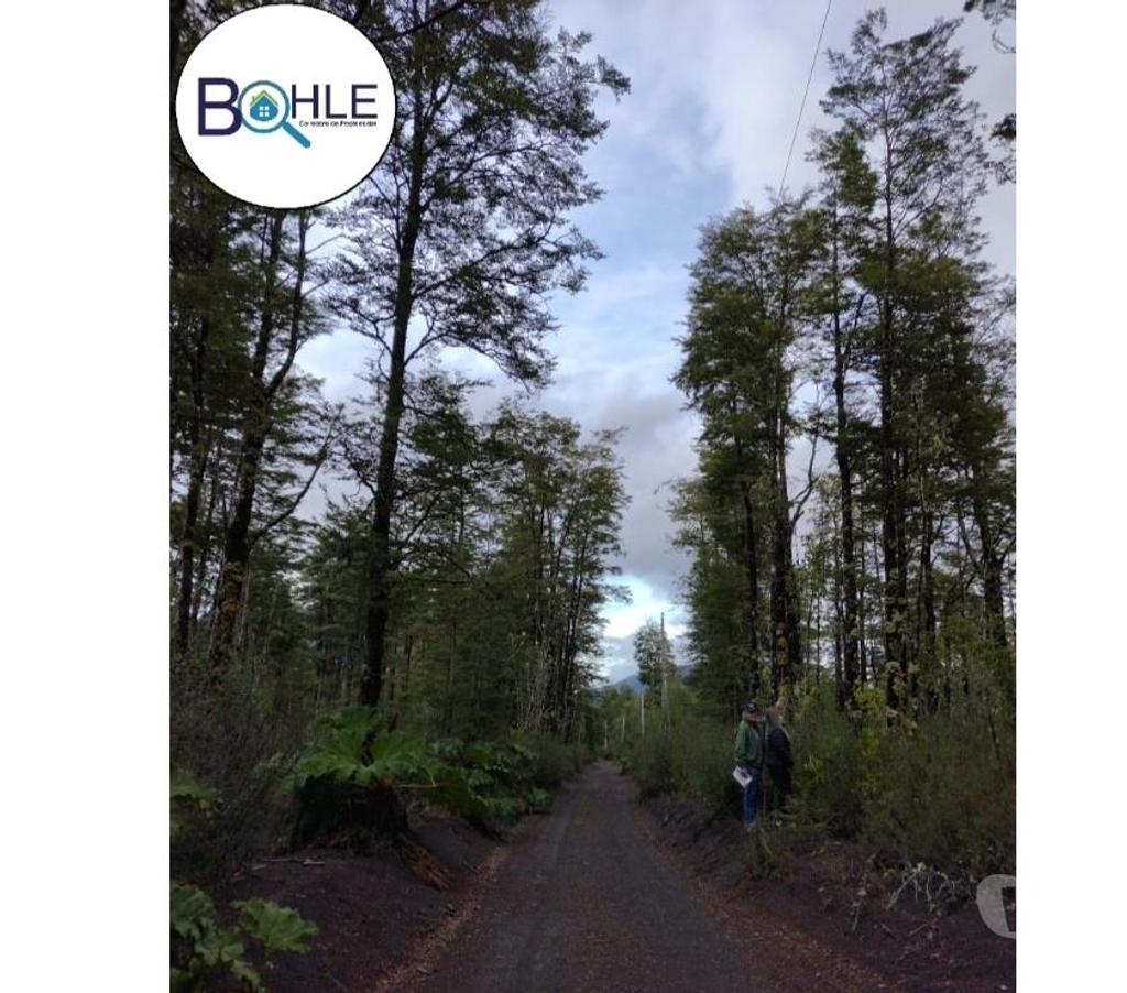 Parcelas en Venta Llanquihue Puerto Varas - Fotos de VENDO - Parcelas desde 5000m2 camino a Ralún