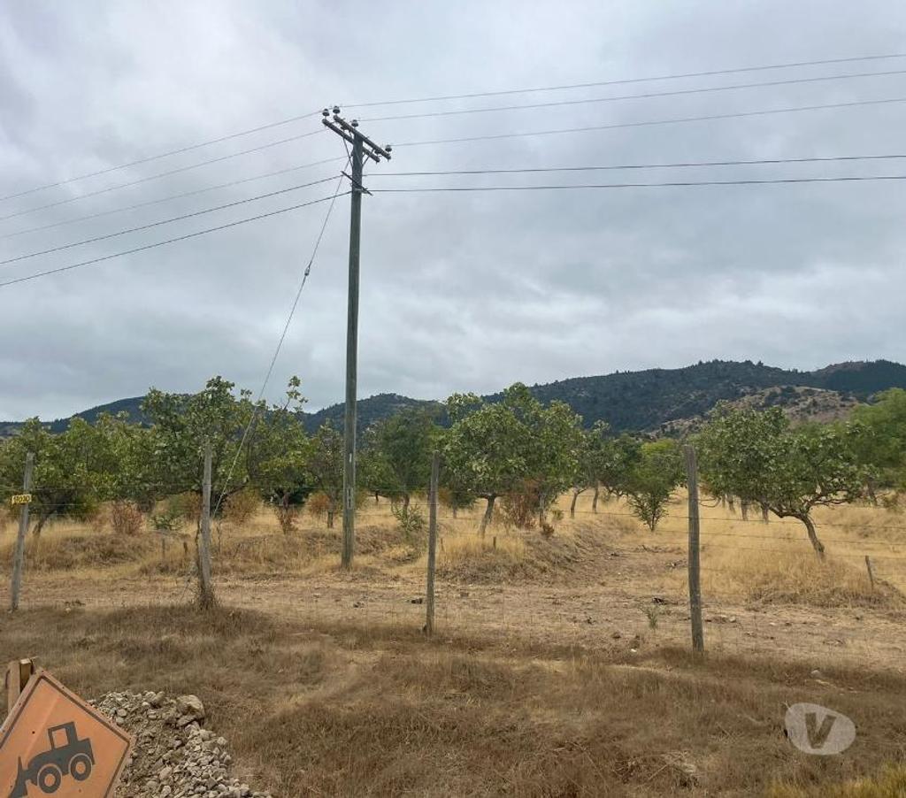 Venta de Haciendas Talca Pencahue - Fotos de Muy Buen Campo de 600 hás en Pencahue-Talca con Agua