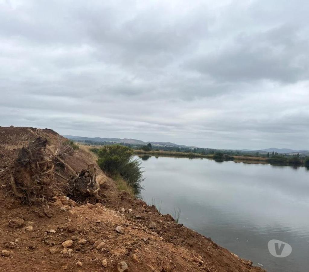 Venta de Haciendas Talca Pencahue - Fotos de Muy Buen Campo de 600 hás en Pencahue-Talca con Agua