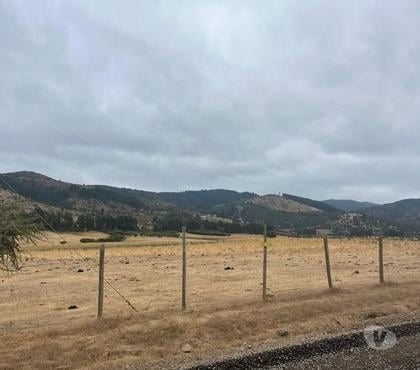 Campos en Venta Pencahue Talca - Fotos de Muy Buen Campo de 600 hás en Pencahue-Talca con Agua